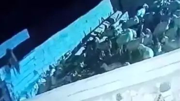 Kurt Ağılda Küçükbaş Hayvanı Telef Etti