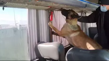 Ağrı'da Uyuşturucu Ele Geçirildi