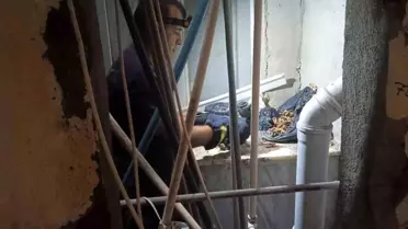 Samandağ'da Apartman Boşluğuna Düşen Yavru Kedi Kurtarıldı