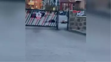 Tahliye sonrası vahşet! Kovaladığı kadını öldürüp kafasına sıktı