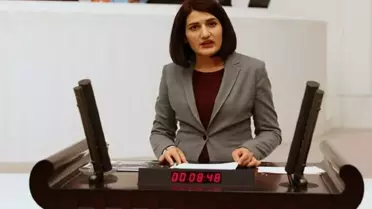 Eski HDP milletvekili Semra Güzel'e 8 yıl 9 ay hapis cezası