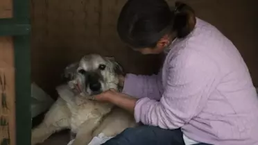 Mazbut ve İncir'in Sıcak Arkadaşlığı