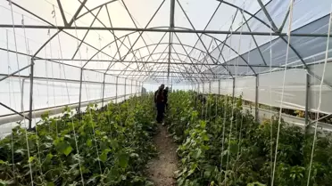 Hakkari'de Köyler Yeniden Canlanıyor