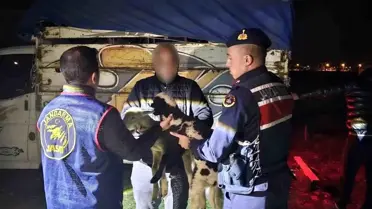 Hayvan Hırsızlığına 4 Tutuklama