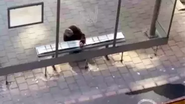 Midyat'ta Duyarlı Vatandaş Soğuk Hava İçin Halı Koydu