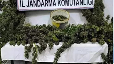 Mardin'de Uyuşturucu Operasyonu: 3 Tutuklama