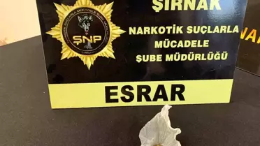 Şırnak'ta Kaçakçılık Operasyonları