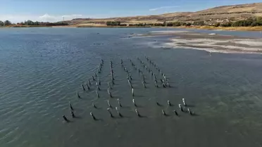 Van Gölü'nün Çekilmesi Eski İskeleri Ortaya Çıkardı