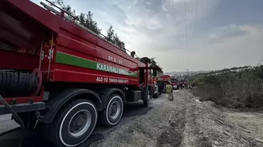 Adana'da Orman Yangını Söndürüldü