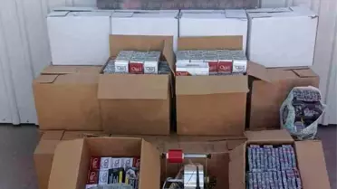 Aydın'da Kaçak Tütün Operasyonu