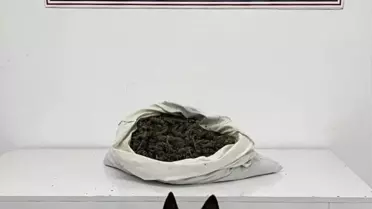 Bingöl'de Uyuşturucu Operasyonu: Bir Şüpheli Tutuklandı