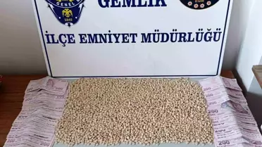 Gemlik'te Uyuşturucu Operasyonu
