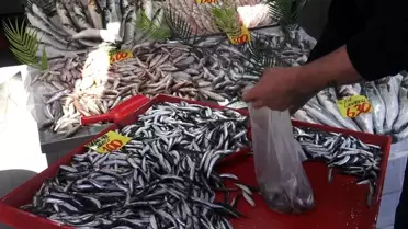 Çankırı'da Hamsi Fiyatları Yüzleri Güldürüyor
