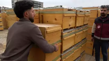 Bingöl'de Organik Bal Üretimi Artıyor