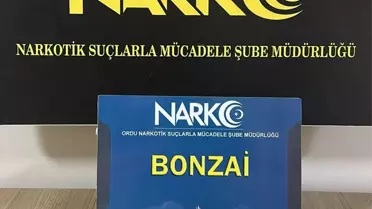 Ordu'da Uyuşturucu Operasyonu: 3 Tutuklama