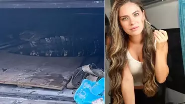 Oyuncu Ceyda Ateş'in oturduğu sitede timsah yakalandı