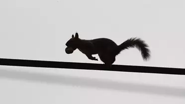 Sincaplarla Sonbahar Keyfi