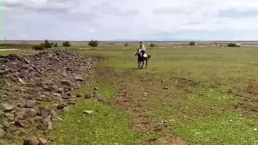 Siverek'te Komik Kazalar