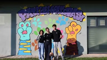 Sakarya'da 500 Sokak Hayvanı Yeni Yuva Buldu