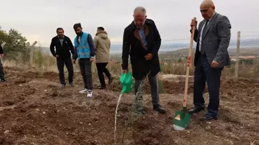 Zile'de Fidan Dikim Etkinliği