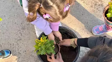 Sakarya'da Minik Bahçıvanlar Projesi İle 3 Bin Çocuk Doğayla Buluştu