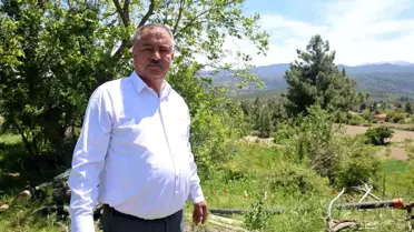 Süt Üreticileri Ekonomik Krizle Yüzleşiyor