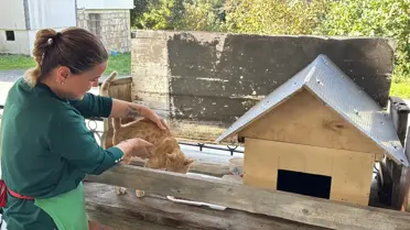 Dolmuş Şoförleri, Yaralı Kediyi Tedavi Ettirdi