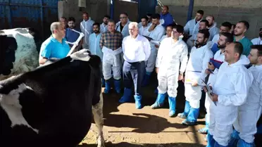 Aksaray'da Sığır Eğitimi