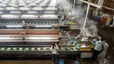 Xincheng'de İpekböcekçiliği Gelişiyor