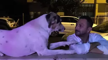 Emekli Polis Köpeği Vurdu