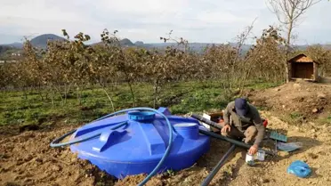 Ordu'da Fındık Verimliliği Projesi Başlatıldı