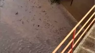 Osmaniye'de Baraj Kapakları Balıkları Telef Etti