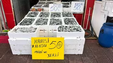 Rize'de Hamsi Fiyatı 50 TL