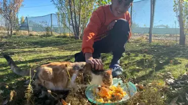 Seren Albay'dan Sokak Hayvanlarına Sevgi Dolu Destek