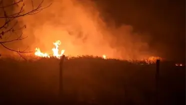 Gölbaşı'nda Kamış Yangını Korkuttu