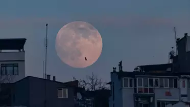 Van'da çekildi, herkes bu kareyi paylaşıyor