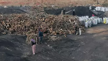 Saraç Ailesi'nin Mangal Kömürü Mesaisi