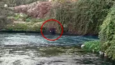 Düden Çayı'na Düşen Vatandaş İtfaiye ve AFAD Ekipleri Tarafından Kurtarıldı