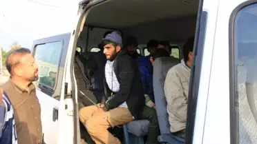 Tokat'ta 11 Kaçak Göçmen Yakalandı