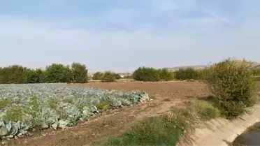 Elazığ'da Otizmli Çocuk İçin Arama Çalışmaları Başlatıldı