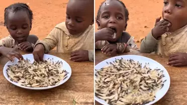 Yapay zeka değil gerçek! Yedikleri şeyin ne olduğunu bir bilseniz