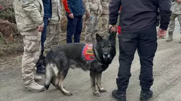 Kastamonu'da Kayıp Anne ve Oğul Aranıyor