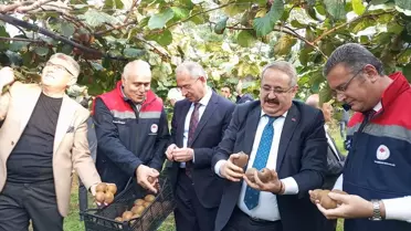 Çarşamba'da Kivi Hasat Şenliği