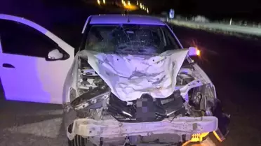 Kurtalan'da Otomobil Ata Çarptı