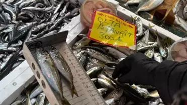 Tekirdağ'da Balık Satışlarına Denetim