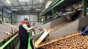 Ceviz Üretimi Destekleniyor