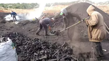 Silifke'de Meşe Kömürü İle Geçim