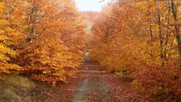 İnegöl Dağları'nda Sonbahar Güzellikleri