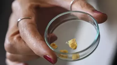 Balık Kılçıklarından Kolajen Üretimi