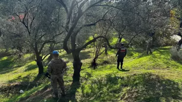 Zeytin Hasadı İçin Güvenlik Önlemleri Artırıldı